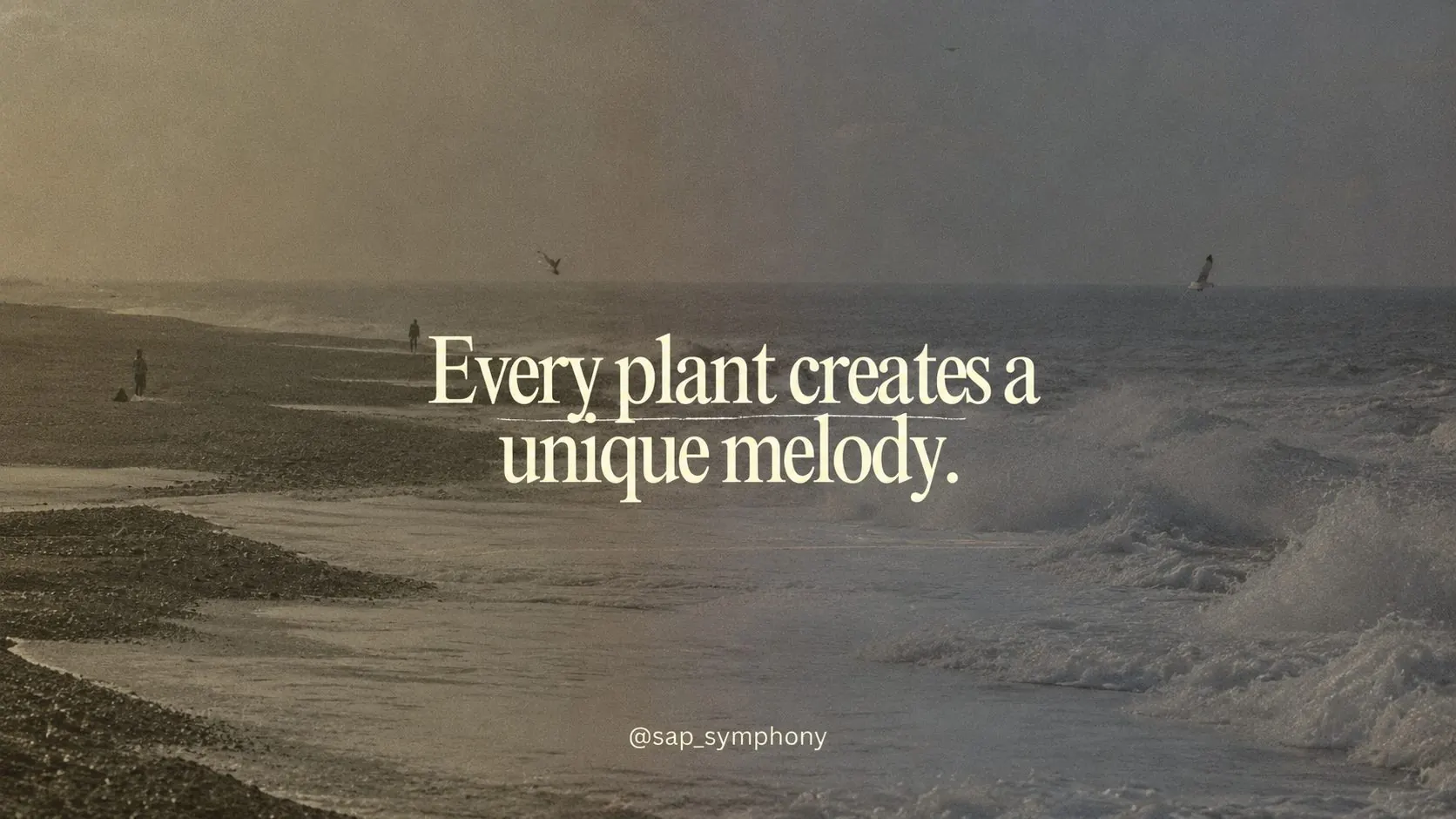 Sap Symphony cover: a misty shoreline with the line Every plant creates a unique melody